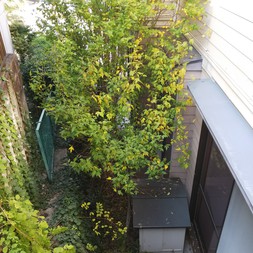Before画像